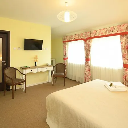 Motel Vip Restaurant Hateg